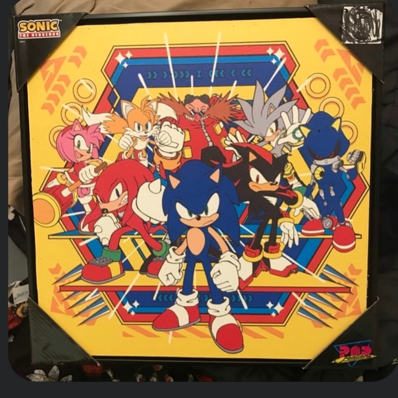 RARE Sonic the Hedgehog Pop Creations Framed Picture New 16 × 16 size - Picture 1 of 1